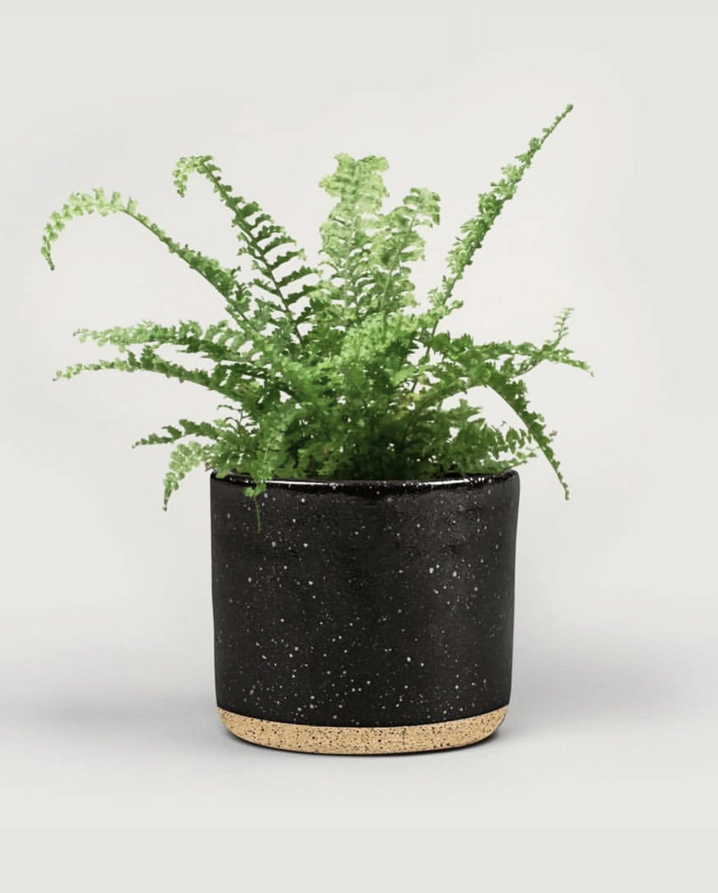 Black Speckle Ceramic Planter
