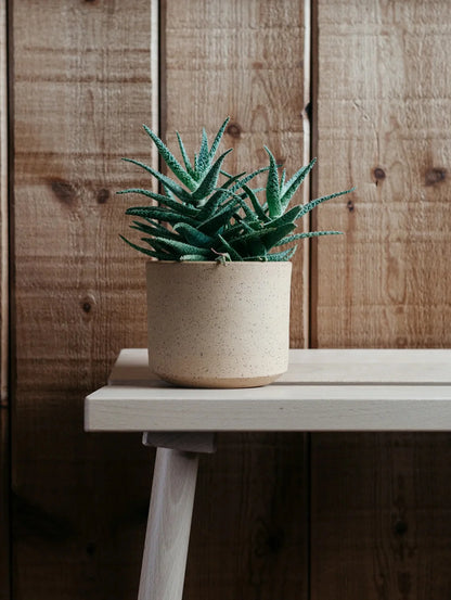 White Speckle Ceramic Planter